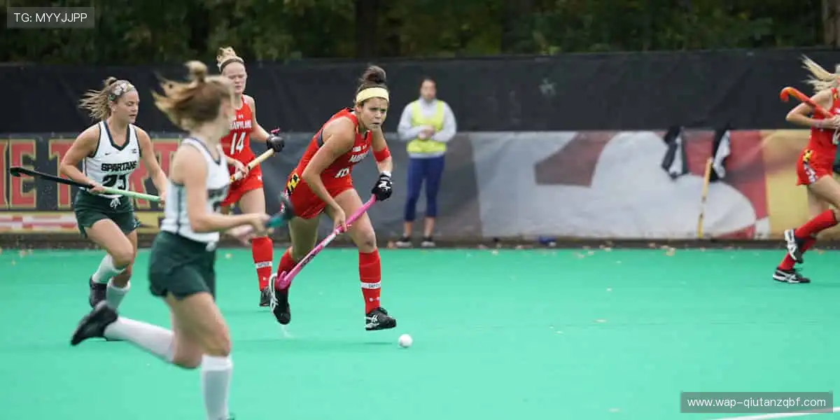 高清综合盛宴:手机体育视讯真人,娱乐升级中